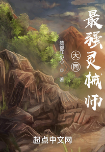 大同最强灵械师