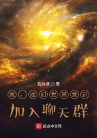 我，虛幻世界意識，加入聊天群在線閱讀