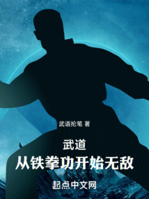 武道:从铁拳功开始无敌 cover
