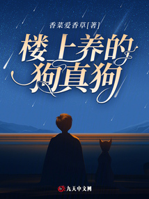 樓上養的狗真狗