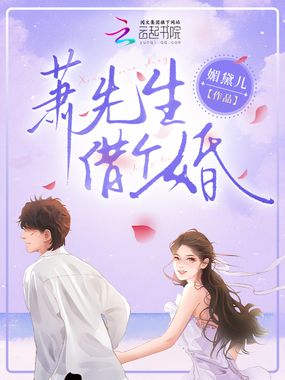 萧先生，借个婚在线阅读