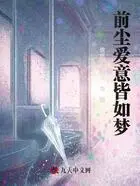 前尘爱意皆如梦在线阅读
