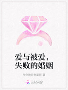爱与被爱,失败的婚姻在线阅读