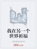 我在另一个世界祈福在线阅读