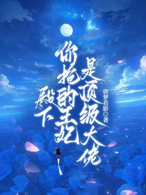 殿下，你抢的王妃是顶级大佬在线阅读