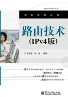 路由技术（IPv4版）在线阅读