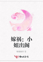 嫁禍：小姐出閣在線閱讀