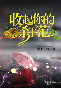 总裁：收起你的杀手范