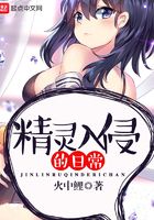精灵入侵的日常
