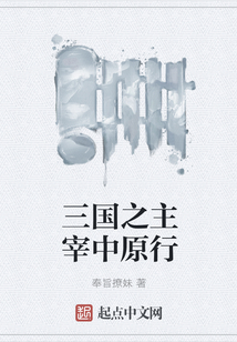 三国之主宰中原行