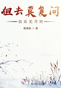 但去莫复问白云无尽时