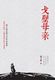 戈壁母親（電視劇《戈壁母親》原著小說）