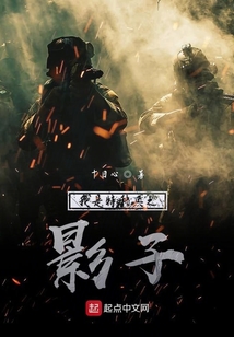 我是特種兵之影子