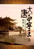 大唐西寧王在線閱讀