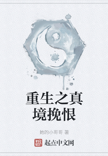 重生之真境挽恨