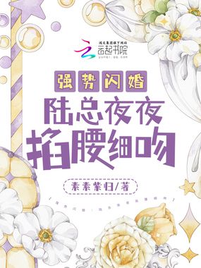 强势闪婚：陆总夜夜掐腰细吻在线阅读