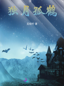 獨(dú)月孤鶴