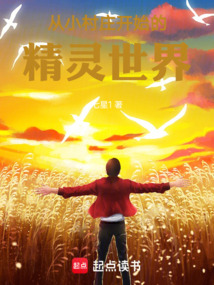 從小村莊開始的精靈世界