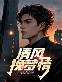 清風挽夢情