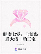 肥妻七零:上荒岛后大佬一胎三宝在线阅读
