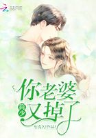 簡少你老婆又掉了在線閱讀