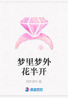 夢里夢外花半開在線閱讀