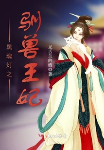 黑魂燈之馴獸王妃