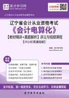 辽宁省会计从业资格考试《会计电算化》【教材精讲＋真题解析】讲义与视频课程【20小时高清视频】