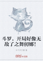 斗罗,开局好像无敌了之舞仞娜!在线阅读