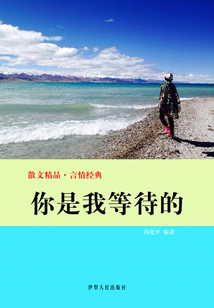 你是我等待的（散文精品·言情經典）