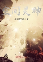 空间灵神在线阅读