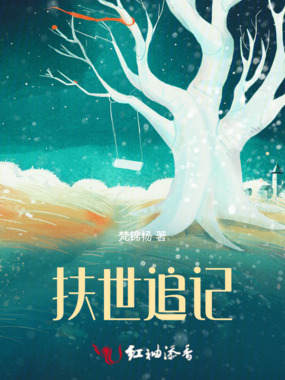 扶世追记在线阅读