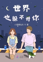 世界也躲不开你在线阅读