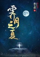霁月之夏在线阅读