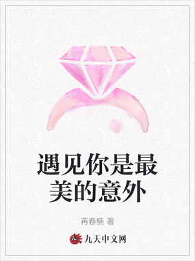 遇见你是最美的意外在线阅读