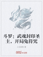 斗罗：武魂封印圣主，开局兔符咒在线阅读