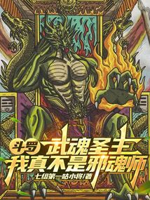 斗羅：武魂圣主，我真不是邪魂師