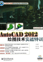 AutoCAD 2012绘图技术实战特训