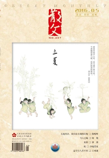 散文（2016年第5期）