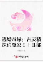 逃婚奇緣：古靈精探俏冤家Ⅰ＋Ⅱ部在線閱讀