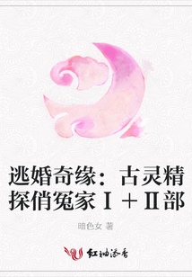 逃婚奇緣:古靈精探俏冤家Ⅰ+Ⅱ部