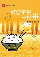 何嘗不是一粒米在線閱讀