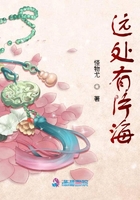 遠處有片海在線閱讀