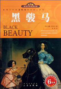 黑駿馬