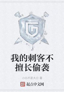 我的刺客不擅長(zhǎng)偷襲