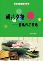 朝花夕拾:鲁迅作品精选(感悟文学大师经典)