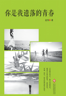 你是我遺落的青春