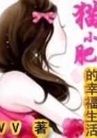 猫小肥的幸福生活