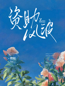 資助風波