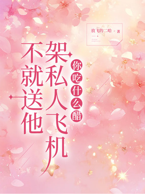 不就送他架私人飞机，你吃什么醋在线阅读
